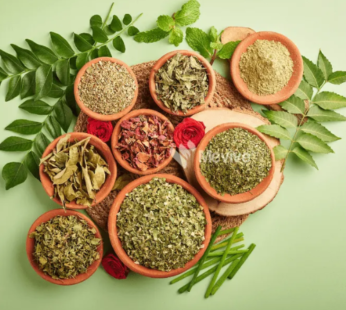 Herbs